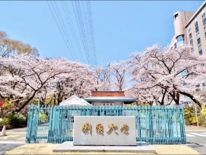桜①